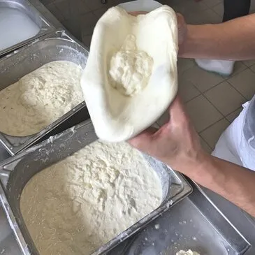 Atelier Fabrication de Fromage à Toulouse