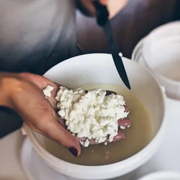 Atelier Fabrication de Fromage à Toulouse