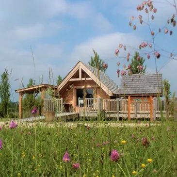 Nuit en Cabane près de Bordeaux