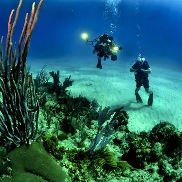 Baptême de Plongée près de Valenciennes