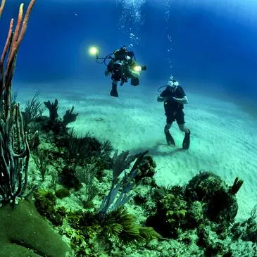 Baptême de Plongée près de Namur