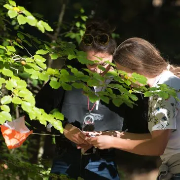 Stage de Survie près de Rennes