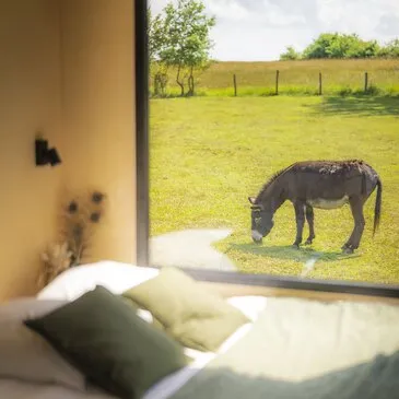Nuit insolite en Tiny House dans une Ferme près de Dole