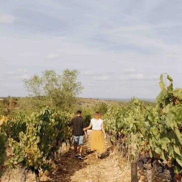 Nuit insolite en Tiny House dans un Vignoble près de Cahors