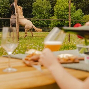 Nuit insolite en Tiny House au cœur du Perche