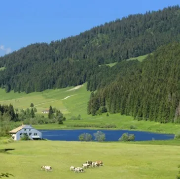 Vol en Montgolfière - Survol du Massif du Jura