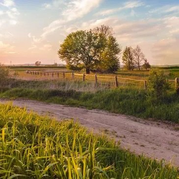 Randonnée en Buggy près d'Orléans