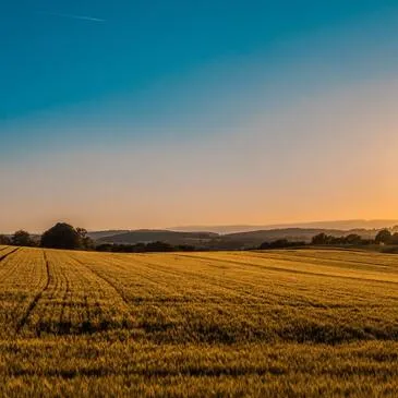 Randonnée en Buggy près d'Orléans