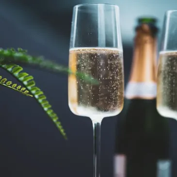 Nuit en Bulle avec Jacuzzi Privatif près de Pau