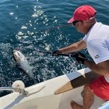Pêche au Gros près de Montpellier