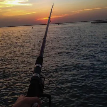Pêche au Gros à Marseillan