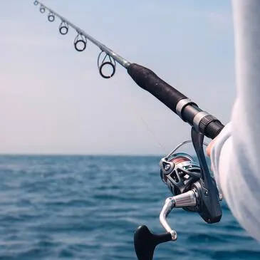 Pêche au Gros à Marseillan