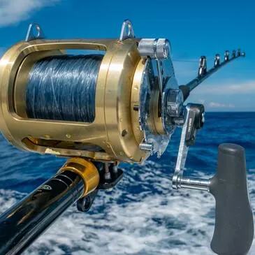 Pêche au Gros à Marseillan