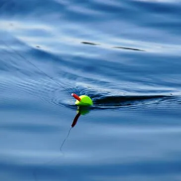 Pêche au Gros à Marseillan