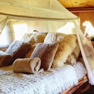 Cabane dans les Arbres avec Spa près du Touquet