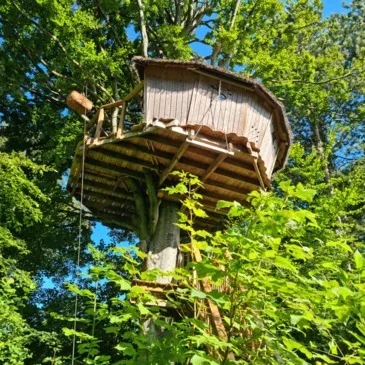 Cabane dans les Arbres avec Spa près du Touquet