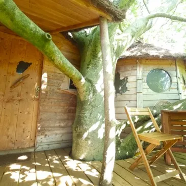 Cabane dans les Arbres avec Spa près du Touquet