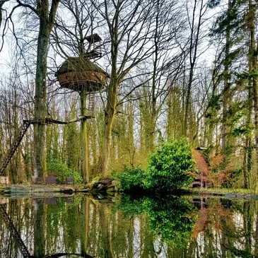 Cabane dans les Arbres avec Spa près du Touquet