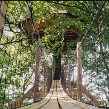 Cabane dans les Arbres avec Spa près du Touquet