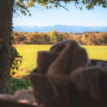 Nuit Insolite en Tonneau avec Spa Privatif près de Lourdes