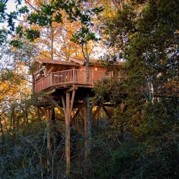 Cabane dans les Arbres avec Jacuzzi Privatif près de Montauban