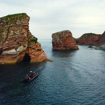 Balade en Bateau à Saint-Jean-de-Luz