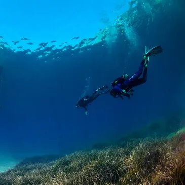 Baptême de Plongée à Menton