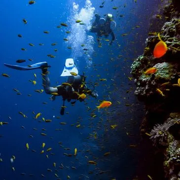 Baptême de Plongée près de Collioure à Argelès-sur-Mer