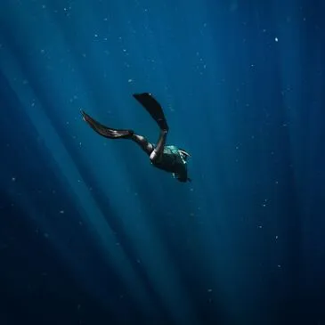 Baptême de Plongée près de Collioure à Argelès-sur-Mer