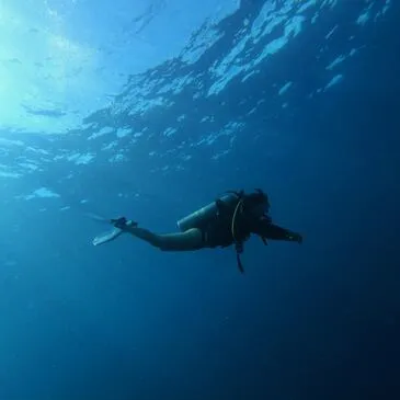 Baptême de Plongée près de Collioure à Argelès-sur-Mer