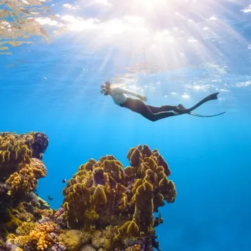 Initiation à la Plongée à Carnac - Baie de Quiberon