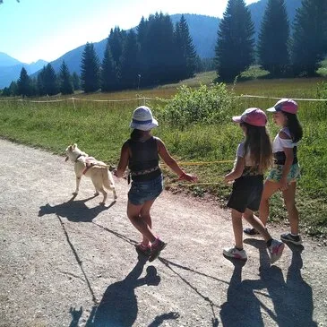 Balade en Cani-Rando près d'Annecy