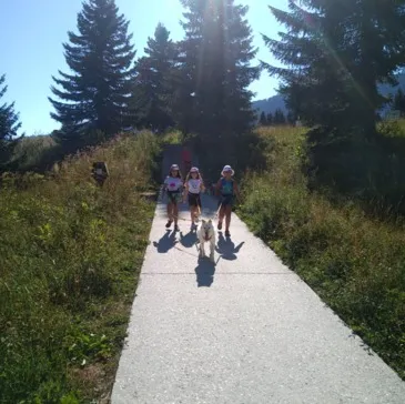 Balade en Cani-Rando près d'Annecy