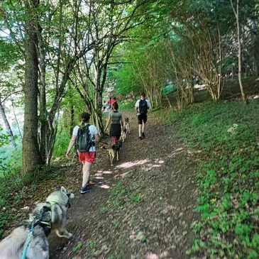 Balade en Cani-Rando près de Bagnères-de-Luchon