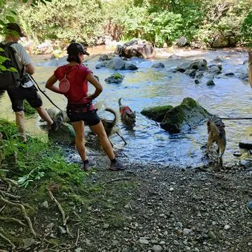 Balade en Cani-Rando près de Bagnères-de-Luchon
