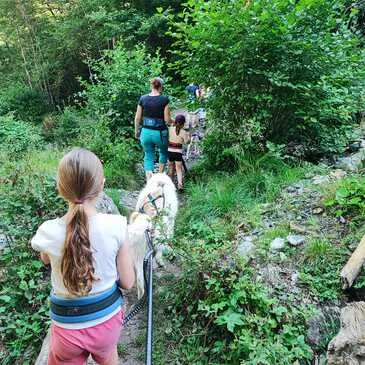 Balade en Cani-Rando près de Bagnères-de-Luchon