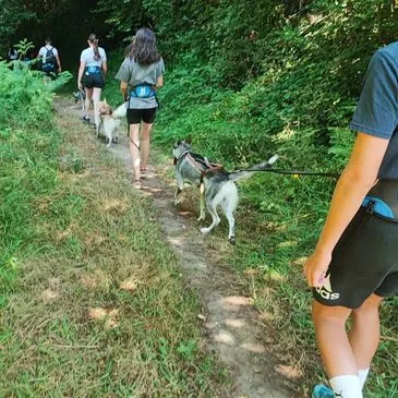 Balade en Cani-Rando près de Bagnères-de-Luchon