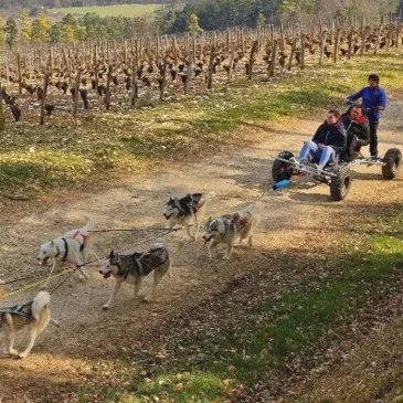 Randonnée en Cani-kart près de Troyes