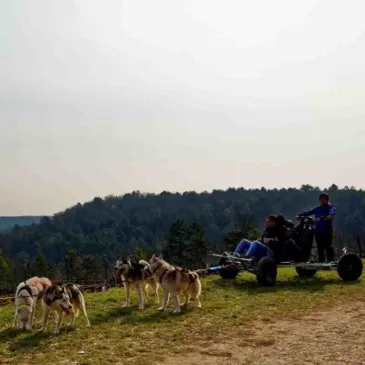 Randonnée en Cani-kart près de Troyes