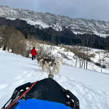 Randonnée en Chiens de Traîneau dans la Station des Coulmes
