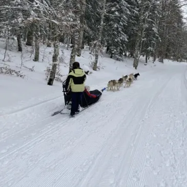 Randonnée en Chiens de Traîneau dans la Station des Coulmes