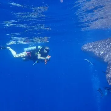 Baptême de Plongée près de Saint Paul à La Réunion