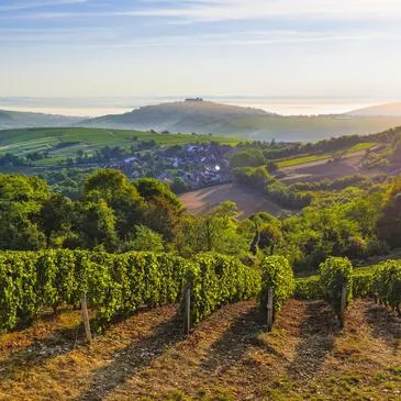 Balade Œnotouristique à Sancerre