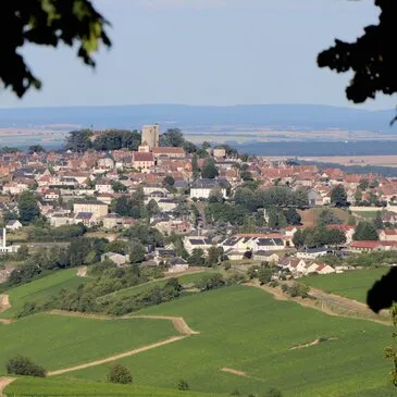 Balade Œnotouristique à Sancerre