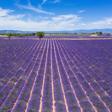 Baptême en Planeur Motorisé dans le Verdon