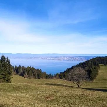 Balade en Cani-Rando près d'Evian-les-Bains