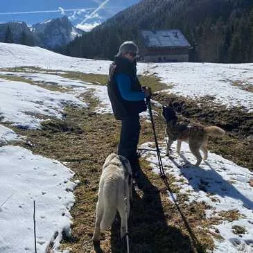 Balade en Cani-Rando près de Thonon-les-Bains