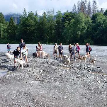 Balade en Cani-Rando près de Thonon-les-Bains