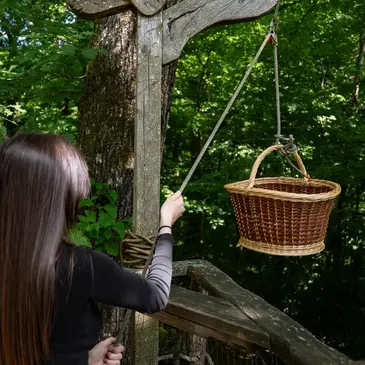 Cabane dans les Arbres près de Dole