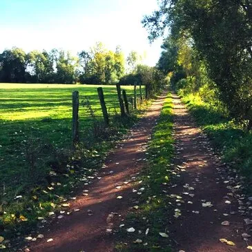 Randonnée en Buggy près de Versailles